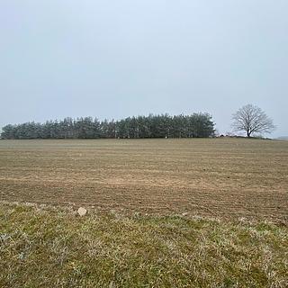 Prodej zemědělské půdy 11302 m² Slatina