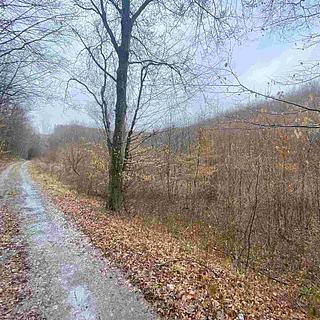 Prodej zemědělské půdy 3207 m² Ždánice