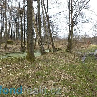 Prodej stavební parcely 1252 m&sup2; Dolní Nivy