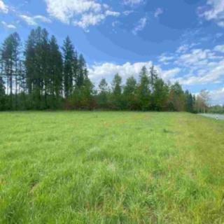 Prodej ostatního pozemku 7 130 m² Břidličná Vajglov