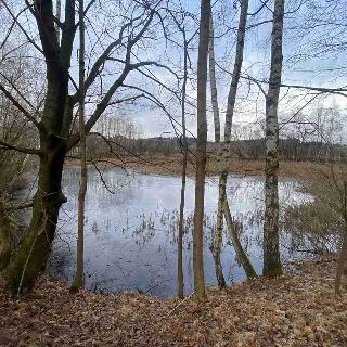 Prodej ostatního pozemku 12 997 m² Benešov nad Černou