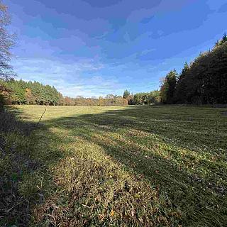 Prodej zemědělské půdy 10862 m&sup2; Blatná