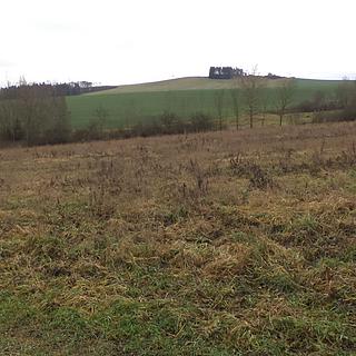 Prodej ostatních pozemků 1445 m² Srby