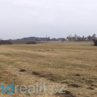 Prodej ostatního pozemku 1 003 m² Tojice