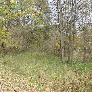 Prodej ostatních pozemků 1691 m² Aš