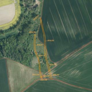 Prodej zemědělské půdy 3 134 m² Bučovice