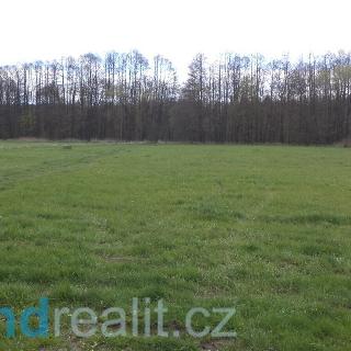 Prodej ostatního pozemku 69 579 m² Tachov