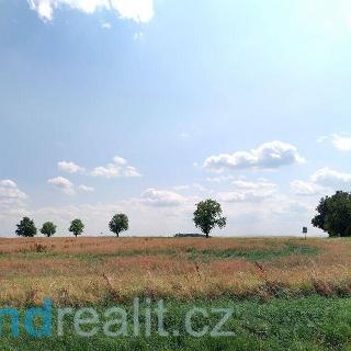 Prodej ostatního pozemku 17 515 m² Dříteň