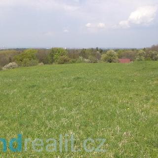 Prodej zemědělské půdy 8 787 m² Chotěbuz