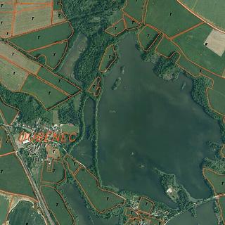 Prodej zemědělské půdy 3255 m² Dívčice