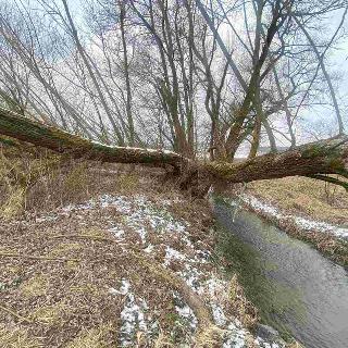 Prodej zemědělské půdy 1 800 m² Jankov