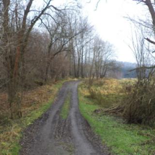 Prodej stavební parcely 4 213 m² Nové Hrady Vyšné