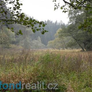 Prodej zemědělské půdy 42 411 m² Kladruby