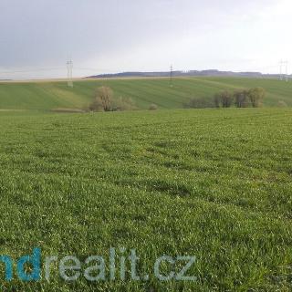 Prodej ostatního pozemku 13 279 m² Kostelany