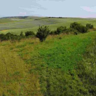 Prodej zemědělské půdy 3134 m&sup2; Bučovice