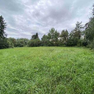 Prodej stavební parcely 896 m² Písečné