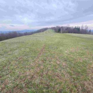 Prodej zemědělské půdy 22 044 m² Mírová pod Kozákovem
