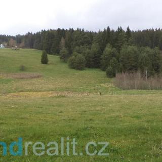 Prodej ostatního pozemku 22 368 m² Lesná