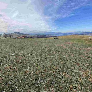 Prodej zemědělské půdy 2218 m&sup2; Černá v Pošumaví