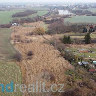 Prodej ostatního pozemku 3 781 m² Brandýs nad Labem-Stará Boleslav