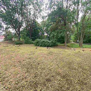 Prodej ostatních pozemků 1993 m&sup2; Březová