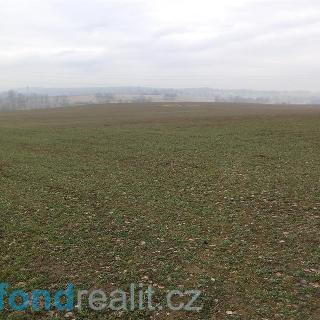 Prodej zemědělské půdy 6 968 m² Drahonice