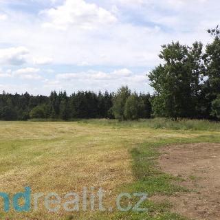 Prodej zemědělské půdy 9 608 m² Skořice