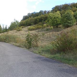 Prodej zemědělské půdy 3418 m&sup2; Řehlovice