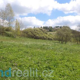 Prodej ostatních pozemků 11087 m² Budišov nad Budišovkou