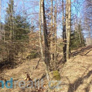 Prodej ostatních pozemků 34704 m² Liberec