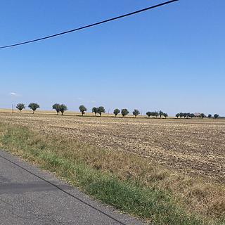 Prodej ostatních pozemků 1801 m² Podbořany