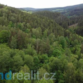 Prodej ostatních pozemků 4999 m&sup2; Rejštejn