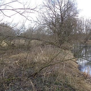 Prodej ostatních pozemků 6591 m&sup2; Novosedly nad Nežárkou