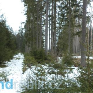 Prodej ostatních pozemků 19660 m&sup2; Nová Bystřice