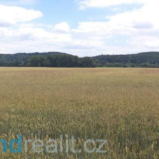 Prodej ostatních pozemků 30364 m² Roudné