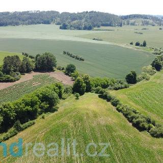 Prodej ostatního pozemku 16 147 m² Radomyšl