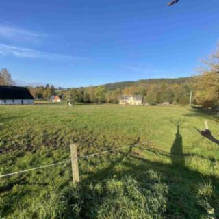 Prodej ostatních pozemků 18004 m&sup2; Králíky