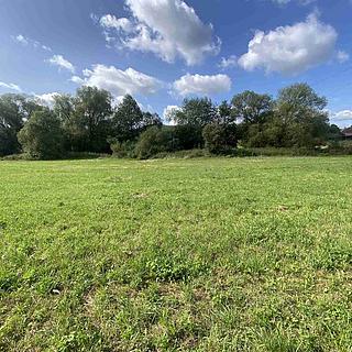 Prodej ostatních pozemků 1885 m&sup2; Čížkov