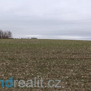 Prodej zemědělské půdy 4 224 m² Hrubá Skála