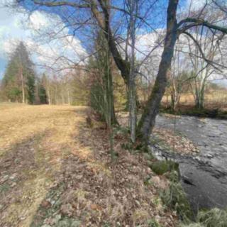 Prodej ostatních pozemků 2009 m&sup2; Bartošovice v Orlických horách