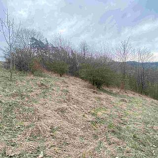 Prodej ostatních pozemků 1000 m&sup2; Mírová pod Kozákovem