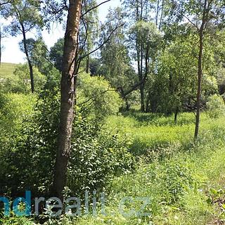 Prodej ostatních pozemků 18903 m&sup2; Dolní Dvořiště