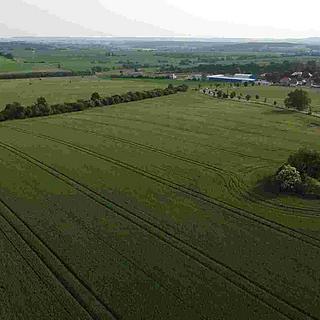 Prodej zemědělské půdy 5266 m&sup2; Rakovník