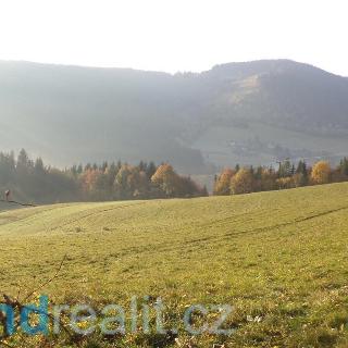 Prodej zemědělské půdy 9 791 m² Dolní Lomná