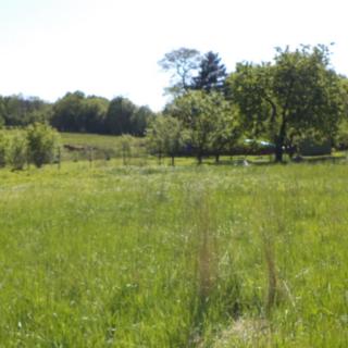 Prodej stavební parcely 2 931 m² Staré Křečany