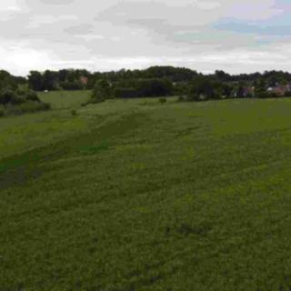 Prodej zemědělské půdy 15 062 m² Dolní Bukovsko Bzí