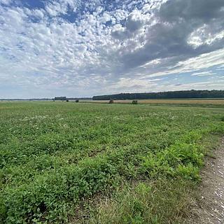 Prodej zemědělské půdy 16506 m&sup2; Lomnice nad Lužnicí