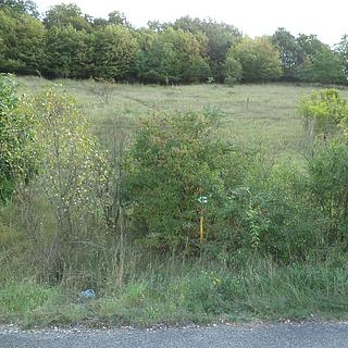 Prodej zemědělské půdy 1038 m&sup2; Řehlovice