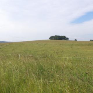 Prodej ostatních pozemků 4031 m² Horní Štěpánov