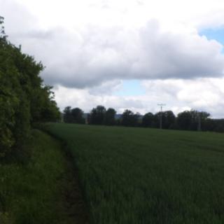 Prodej zemědělské půdy 5 266 m² Rakovník II